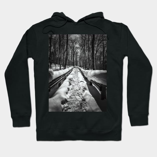 Short Hikes Well Traveled Hoodie by Isla Creek Casuals